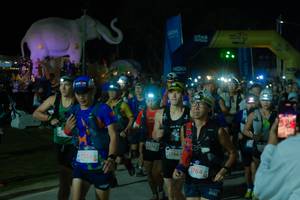 BIB: 
                            <button type="button" onclick="openModal(25583716)" class="btn btn-primary btn-sm float-right btn-popup" data-toggle="modal" data-target=".modal-high-quality">
                        <i class="fas fa-shopping-cart"></i> Add to Cart
                    </button>
                                            <button type="button" onclick="isThisMe(25583716, true)" class="btn btn-success btn-sm float-right btn-popup btn-isme hidden" data-toggle="tooltip" data-placement="bottom" title="นี่คือรูปของคุณใช่ไหม คลิกที่นี่เพื่อเอาเข้าอัลบั้ม">
                        <i class="fas fa-plus"></i> Add to album
                    </button>
                    <button type="button" onclick="isThisMe(25583716, false)" class="btn btn-warning btn-sm float-right btn-popup btn-isnotme hidden">
                        <i class="fas fa-ban"></i> Remove from album
                    </button>