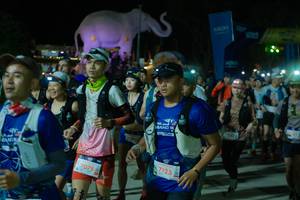 BIB: 
                            <button type="button" onclick="openModal(25587880)" class="btn btn-primary btn-sm float-right btn-popup" data-toggle="modal" data-target=".modal-high-quality">
                        <i class="fas fa-shopping-cart"></i> Add to Cart
                    </button>
                                            <button type="button" onclick="isThisMe(25587880, true)" class="btn btn-success btn-sm float-right btn-popup btn-isme hidden" data-toggle="tooltip" data-placement="bottom" title="นี่คือรูปของคุณใช่ไหม คลิกที่นี่เพื่อเอาเข้าอัลบั้ม">
                        <i class="fas fa-plus"></i> Add to album
                    </button>
                    <button type="button" onclick="isThisMe(25587880, false)" class="btn btn-warning btn-sm float-right btn-popup btn-isnotme hidden">
                        <i class="fas fa-ban"></i> Remove from album
                    </button>