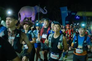 BIB: 
                            <button type="button" onclick="openModal(25585005)" class="btn btn-primary btn-sm float-right btn-popup" data-toggle="modal" data-target=".modal-high-quality">
                        <i class="fas fa-shopping-cart"></i> Add to Cart
                    </button>
                                            <button type="button" onclick="isThisMe(25585005, true)" class="btn btn-success btn-sm float-right btn-popup btn-isme hidden" data-toggle="tooltip" data-placement="bottom" title="นี่คือรูปของคุณใช่ไหม คลิกที่นี่เพื่อเอาเข้าอัลบั้ม">
                        <i class="fas fa-plus"></i> Add to album
                    </button>
                    <button type="button" onclick="isThisMe(25585005, false)" class="btn btn-warning btn-sm float-right btn-popup btn-isnotme hidden">
                        <i class="fas fa-ban"></i> Remove from album
                    </button>