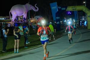 BIB: 
                            <button type="button" onclick="openModal(25587112)" class="btn btn-primary btn-sm float-right btn-popup" data-toggle="modal" data-target=".modal-high-quality">
                        <i class="fas fa-shopping-cart"></i> Add to Cart
                    </button>
                                            <button type="button" onclick="isThisMe(25587112, true)" class="btn btn-success btn-sm float-right btn-popup btn-isme hidden" data-toggle="tooltip" data-placement="bottom" title="นี่คือรูปของคุณใช่ไหม คลิกที่นี่เพื่อเอาเข้าอัลบั้ม">
                        <i class="fas fa-plus"></i> Add to album
                    </button>
                    <button type="button" onclick="isThisMe(25587112, false)" class="btn btn-warning btn-sm float-right btn-popup btn-isnotme hidden">
                        <i class="fas fa-ban"></i> Remove from album
                    </button>