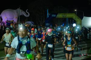 BIB: 
                            <button type="button" onclick="openModal(25583002)" class="btn btn-primary btn-sm float-right btn-popup" data-toggle="modal" data-target=".modal-high-quality">
                        <i class="fas fa-shopping-cart"></i> Add to Cart
                    </button>
                                            <button type="button" onclick="isThisMe(25583002, true)" class="btn btn-success btn-sm float-right btn-popup btn-isme hidden" data-toggle="tooltip" data-placement="bottom" title="นี่คือรูปของคุณใช่ไหม คลิกที่นี่เพื่อเอาเข้าอัลบั้ม">
                        <i class="fas fa-plus"></i> Add to album
                    </button>
                    <button type="button" onclick="isThisMe(25583002, false)" class="btn btn-warning btn-sm float-right btn-popup btn-isnotme hidden">
                        <i class="fas fa-ban"></i> Remove from album
                    </button>