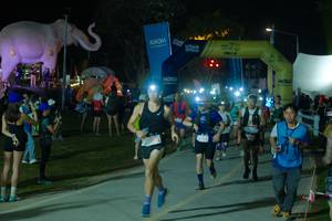 BIB: 
                            <button type="button" onclick="openModal(25587134)" class="btn btn-primary btn-sm float-right btn-popup" data-toggle="modal" data-target=".modal-high-quality">
                        <i class="fas fa-shopping-cart"></i> Add to Cart
                    </button>
                                            <button type="button" onclick="isThisMe(25587134, true)" class="btn btn-success btn-sm float-right btn-popup btn-isme hidden" data-toggle="tooltip" data-placement="bottom" title="นี่คือรูปของคุณใช่ไหม คลิกที่นี่เพื่อเอาเข้าอัลบั้ม">
                        <i class="fas fa-plus"></i> Add to album
                    </button>
                    <button type="button" onclick="isThisMe(25587134, false)" class="btn btn-warning btn-sm float-right btn-popup btn-isnotme hidden">
                        <i class="fas fa-ban"></i> Remove from album
                    </button>