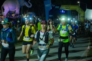 BIB: 
                            <button type="button" onclick="openModal(25587390)" class="btn btn-primary btn-sm float-right btn-popup" data-toggle="modal" data-target=".modal-high-quality">
                        <i class="fas fa-shopping-cart"></i> Add to Cart
                    </button>
                                            <button type="button" onclick="isThisMe(25587390, true)" class="btn btn-success btn-sm float-right btn-popup btn-isme hidden" data-toggle="tooltip" data-placement="bottom" title="นี่คือรูปของคุณใช่ไหม คลิกที่นี่เพื่อเอาเข้าอัลบั้ม">
                        <i class="fas fa-plus"></i> Add to album
                    </button>
                    <button type="button" onclick="isThisMe(25587390, false)" class="btn btn-warning btn-sm float-right btn-popup btn-isnotme hidden">
                        <i class="fas fa-ban"></i> Remove from album
                    </button>