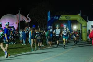 BIB: 
                            <button type="button" onclick="openModal(25583493)" class="btn btn-primary btn-sm float-right btn-popup" data-toggle="modal" data-target=".modal-high-quality">
                        <i class="fas fa-shopping-cart"></i> Add to Cart
                    </button>
                                            <button type="button" onclick="isThisMe(25583493, true)" class="btn btn-success btn-sm float-right btn-popup btn-isme hidden" data-toggle="tooltip" data-placement="bottom" title="นี่คือรูปของคุณใช่ไหม คลิกที่นี่เพื่อเอาเข้าอัลบั้ม">
                        <i class="fas fa-plus"></i> Add to album
                    </button>
                    <button type="button" onclick="isThisMe(25583493, false)" class="btn btn-warning btn-sm float-right btn-popup btn-isnotme hidden">
                        <i class="fas fa-ban"></i> Remove from album
                    </button>