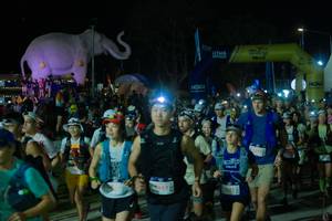 BIB: 
                            <button type="button" onclick="openModal(25583329)" class="btn btn-primary btn-sm float-right btn-popup" data-toggle="modal" data-target=".modal-high-quality">
                        <i class="fas fa-shopping-cart"></i> Add to Cart
                    </button>
                                            <button type="button" onclick="isThisMe(25583329, true)" class="btn btn-success btn-sm float-right btn-popup btn-isme hidden" data-toggle="tooltip" data-placement="bottom" title="นี่คือรูปของคุณใช่ไหม คลิกที่นี่เพื่อเอาเข้าอัลบั้ม">
                        <i class="fas fa-plus"></i> Add to album
                    </button>
                    <button type="button" onclick="isThisMe(25583329, false)" class="btn btn-warning btn-sm float-right btn-popup btn-isnotme hidden">
                        <i class="fas fa-ban"></i> Remove from album
                    </button>