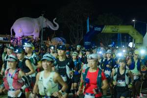 BIB: 
                            <button type="button" onclick="openModal(25583249)" class="btn btn-primary btn-sm float-right btn-popup" data-toggle="modal" data-target=".modal-high-quality">
                        <i class="fas fa-shopping-cart"></i> Add to Cart
                    </button>
                                            <button type="button" onclick="isThisMe(25583249, true)" class="btn btn-success btn-sm float-right btn-popup btn-isme hidden" data-toggle="tooltip" data-placement="bottom" title="นี่คือรูปของคุณใช่ไหม คลิกที่นี่เพื่อเอาเข้าอัลบั้ม">
                        <i class="fas fa-plus"></i> Add to album
                    </button>
                    <button type="button" onclick="isThisMe(25583249, false)" class="btn btn-warning btn-sm float-right btn-popup btn-isnotme hidden">
                        <i class="fas fa-ban"></i> Remove from album
                    </button>