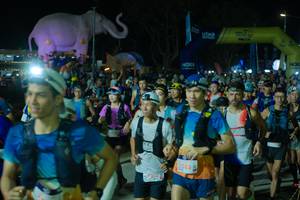 BIB: 
                            <button type="button" onclick="openModal(25583274)" class="btn btn-primary btn-sm float-right btn-popup" data-toggle="modal" data-target=".modal-high-quality">
                        <i class="fas fa-shopping-cart"></i> Add to Cart
                    </button>
                                            <button type="button" onclick="isThisMe(25583274, true)" class="btn btn-success btn-sm float-right btn-popup btn-isme hidden" data-toggle="tooltip" data-placement="bottom" title="นี่คือรูปของคุณใช่ไหม คลิกที่นี่เพื่อเอาเข้าอัลบั้ม">
                        <i class="fas fa-plus"></i> Add to album
                    </button>
                    <button type="button" onclick="isThisMe(25583274, false)" class="btn btn-warning btn-sm float-right btn-popup btn-isnotme hidden">
                        <i class="fas fa-ban"></i> Remove from album
                    </button>