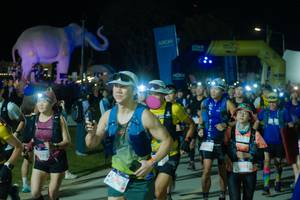 BIB: 
                            <button type="button" onclick="openModal(25586054)" class="btn btn-primary btn-sm float-right btn-popup" data-toggle="modal" data-target=".modal-high-quality">
                        <i class="fas fa-shopping-cart"></i> Add to Cart
                    </button>
                                            <button type="button" onclick="isThisMe(25586054, true)" class="btn btn-success btn-sm float-right btn-popup btn-isme hidden" data-toggle="tooltip" data-placement="bottom" title="นี่คือรูปของคุณใช่ไหม คลิกที่นี่เพื่อเอาเข้าอัลบั้ม">
                        <i class="fas fa-plus"></i> Add to album
                    </button>
                    <button type="button" onclick="isThisMe(25586054, false)" class="btn btn-warning btn-sm float-right btn-popup btn-isnotme hidden">
                        <i class="fas fa-ban"></i> Remove from album
                    </button>