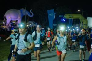 BIB: 
                            <button type="button" onclick="openModal(25585999)" class="btn btn-primary btn-sm float-right btn-popup" data-toggle="modal" data-target=".modal-high-quality">
                        <i class="fas fa-shopping-cart"></i> Add to Cart
                    </button>
                                            <button type="button" onclick="isThisMe(25585999, true)" class="btn btn-success btn-sm float-right btn-popup btn-isme hidden" data-toggle="tooltip" data-placement="bottom" title="นี่คือรูปของคุณใช่ไหม คลิกที่นี่เพื่อเอาเข้าอัลบั้ม">
                        <i class="fas fa-plus"></i> Add to album
                    </button>
                    <button type="button" onclick="isThisMe(25585999, false)" class="btn btn-warning btn-sm float-right btn-popup btn-isnotme hidden">
                        <i class="fas fa-ban"></i> Remove from album
                    </button>