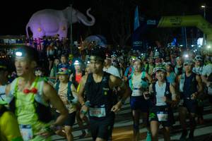 BIB: 
                            <button type="button" onclick="openModal(25583244)" class="btn btn-primary btn-sm float-right btn-popup" data-toggle="modal" data-target=".modal-high-quality">
                        <i class="fas fa-shopping-cart"></i> Add to Cart
                    </button>
                                            <button type="button" onclick="isThisMe(25583244, true)" class="btn btn-success btn-sm float-right btn-popup btn-isme hidden" data-toggle="tooltip" data-placement="bottom" title="นี่คือรูปของคุณใช่ไหม คลิกที่นี่เพื่อเอาเข้าอัลบั้ม">
                        <i class="fas fa-plus"></i> Add to album
                    </button>
                    <button type="button" onclick="isThisMe(25583244, false)" class="btn btn-warning btn-sm float-right btn-popup btn-isnotme hidden">
                        <i class="fas fa-ban"></i> Remove from album
                    </button>