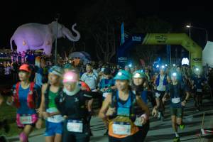 BIB: 
                            <button type="button" onclick="openModal(25583007)" class="btn btn-primary btn-sm float-right btn-popup" data-toggle="modal" data-target=".modal-high-quality">
                        <i class="fas fa-shopping-cart"></i> Add to Cart
                    </button>
                                            <button type="button" onclick="isThisMe(25583007, true)" class="btn btn-success btn-sm float-right btn-popup btn-isme hidden" data-toggle="tooltip" data-placement="bottom" title="นี่คือรูปของคุณใช่ไหม คลิกที่นี่เพื่อเอาเข้าอัลบั้ม">
                        <i class="fas fa-plus"></i> Add to album
                    </button>
                    <button type="button" onclick="isThisMe(25583007, false)" class="btn btn-warning btn-sm float-right btn-popup btn-isnotme hidden">
                        <i class="fas fa-ban"></i> Remove from album
                    </button>