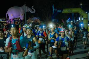 BIB: 
                            <button type="button" onclick="openModal(25583399)" class="btn btn-primary btn-sm float-right btn-popup" data-toggle="modal" data-target=".modal-high-quality">
                        <i class="fas fa-shopping-cart"></i> Add to Cart
                    </button>
                                            <button type="button" onclick="isThisMe(25583399, true)" class="btn btn-success btn-sm float-right btn-popup btn-isme hidden" data-toggle="tooltip" data-placement="bottom" title="นี่คือรูปของคุณใช่ไหม คลิกที่นี่เพื่อเอาเข้าอัลบั้ม">
                        <i class="fas fa-plus"></i> Add to album
                    </button>
                    <button type="button" onclick="isThisMe(25583399, false)" class="btn btn-warning btn-sm float-right btn-popup btn-isnotme hidden">
                        <i class="fas fa-ban"></i> Remove from album
                    </button>