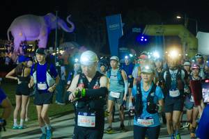 BIB: 
                            <button type="button" onclick="openModal(25586118)" class="btn btn-primary btn-sm float-right btn-popup" data-toggle="modal" data-target=".modal-high-quality">
                        <i class="fas fa-shopping-cart"></i> Add to Cart
                    </button>
                                            <button type="button" onclick="isThisMe(25586118, true)" class="btn btn-success btn-sm float-right btn-popup btn-isme hidden" data-toggle="tooltip" data-placement="bottom" title="นี่คือรูปของคุณใช่ไหม คลิกที่นี่เพื่อเอาเข้าอัลบั้ม">
                        <i class="fas fa-plus"></i> Add to album
                    </button>
                    <button type="button" onclick="isThisMe(25586118, false)" class="btn btn-warning btn-sm float-right btn-popup btn-isnotme hidden">
                        <i class="fas fa-ban"></i> Remove from album
                    </button>