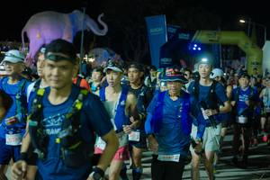 BIB: 
                            <button type="button" onclick="openModal(25585372)" class="btn btn-primary btn-sm float-right btn-popup" data-toggle="modal" data-target=".modal-high-quality">
                        <i class="fas fa-shopping-cart"></i> Add to Cart
                    </button>
                                            <button type="button" onclick="isThisMe(25585372, true)" class="btn btn-success btn-sm float-right btn-popup btn-isme hidden" data-toggle="tooltip" data-placement="bottom" title="นี่คือรูปของคุณใช่ไหม คลิกที่นี่เพื่อเอาเข้าอัลบั้ม">
                        <i class="fas fa-plus"></i> Add to album
                    </button>
                    <button type="button" onclick="isThisMe(25585372, false)" class="btn btn-warning btn-sm float-right btn-popup btn-isnotme hidden">
                        <i class="fas fa-ban"></i> Remove from album
                    </button>