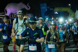 BIB: 
                            <button type="button" onclick="openModal(25587686)" class="btn btn-primary btn-sm float-right btn-popup" data-toggle="modal" data-target=".modal-high-quality">
                        <i class="fas fa-shopping-cart"></i> Add to Cart
                    </button>
                                            <button type="button" onclick="isThisMe(25587686, true)" class="btn btn-success btn-sm float-right btn-popup btn-isme hidden" data-toggle="tooltip" data-placement="bottom" title="นี่คือรูปของคุณใช่ไหม คลิกที่นี่เพื่อเอาเข้าอัลบั้ม">
                        <i class="fas fa-plus"></i> Add to album
                    </button>
                    <button type="button" onclick="isThisMe(25587686, false)" class="btn btn-warning btn-sm float-right btn-popup btn-isnotme hidden">
                        <i class="fas fa-ban"></i> Remove from album
                    </button>