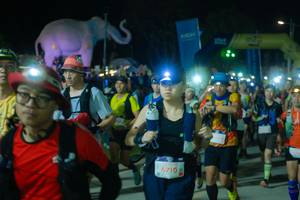 BIB: 
                            <button type="button" onclick="openModal(25586164)" class="btn btn-primary btn-sm float-right btn-popup" data-toggle="modal" data-target=".modal-high-quality">
                        <i class="fas fa-shopping-cart"></i> Add to Cart
                    </button>
                                            <button type="button" onclick="isThisMe(25586164, true)" class="btn btn-success btn-sm float-right btn-popup btn-isme hidden" data-toggle="tooltip" data-placement="bottom" title="นี่คือรูปของคุณใช่ไหม คลิกที่นี่เพื่อเอาเข้าอัลบั้ม">
                        <i class="fas fa-plus"></i> Add to album
                    </button>
                    <button type="button" onclick="isThisMe(25586164, false)" class="btn btn-warning btn-sm float-right btn-popup btn-isnotme hidden">
                        <i class="fas fa-ban"></i> Remove from album
                    </button>