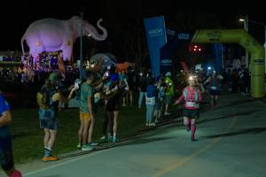 BIB: 
                            <button type="button" onclick="openModal(25584462)" class="btn btn-primary btn-sm float-right btn-popup" data-toggle="modal" data-target=".modal-high-quality">
                        <i class="fas fa-shopping-cart"></i> Add to Cart
                    </button>
                                            <button type="button" onclick="isThisMe(25584462, true)" class="btn btn-success btn-sm float-right btn-popup btn-isme hidden" data-toggle="tooltip" data-placement="bottom" title="นี่คือรูปของคุณใช่ไหม คลิกที่นี่เพื่อเอาเข้าอัลบั้ม">
                        <i class="fas fa-plus"></i> Add to album
                    </button>
                    <button type="button" onclick="isThisMe(25584462, false)" class="btn btn-warning btn-sm float-right btn-popup btn-isnotme hidden">
                        <i class="fas fa-ban"></i> Remove from album
                    </button>