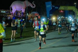 BIB: 
                            <button type="button" onclick="openModal(25587203)" class="btn btn-primary btn-sm float-right btn-popup" data-toggle="modal" data-target=".modal-high-quality">
                        <i class="fas fa-shopping-cart"></i> Add to Cart
                    </button>
                                            <button type="button" onclick="isThisMe(25587203, true)" class="btn btn-success btn-sm float-right btn-popup btn-isme hidden" data-toggle="tooltip" data-placement="bottom" title="นี่คือรูปของคุณใช่ไหม คลิกที่นี่เพื่อเอาเข้าอัลบั้ม">
                        <i class="fas fa-plus"></i> Add to album
                    </button>
                    <button type="button" onclick="isThisMe(25587203, false)" class="btn btn-warning btn-sm float-right btn-popup btn-isnotme hidden">
                        <i class="fas fa-ban"></i> Remove from album
                    </button>