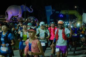 BIB: 
                            <button type="button" onclick="openModal(25584887)" class="btn btn-primary btn-sm float-right btn-popup" data-toggle="modal" data-target=".modal-high-quality">
                        <i class="fas fa-shopping-cart"></i> Add to Cart
                    </button>
                                            <button type="button" onclick="isThisMe(25584887, true)" class="btn btn-success btn-sm float-right btn-popup btn-isme hidden" data-toggle="tooltip" data-placement="bottom" title="นี่คือรูปของคุณใช่ไหม คลิกที่นี่เพื่อเอาเข้าอัลบั้ม">
                        <i class="fas fa-plus"></i> Add to album
                    </button>
                    <button type="button" onclick="isThisMe(25584887, false)" class="btn btn-warning btn-sm float-right btn-popup btn-isnotme hidden">
                        <i class="fas fa-ban"></i> Remove from album
                    </button>