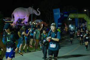 BIB: 
                            <button type="button" onclick="openModal(25585660)" class="btn btn-primary btn-sm float-right btn-popup" data-toggle="modal" data-target=".modal-high-quality">
                        <i class="fas fa-shopping-cart"></i> Add to Cart
                    </button>
                                            <button type="button" onclick="isThisMe(25585660, true)" class="btn btn-success btn-sm float-right btn-popup btn-isme hidden" data-toggle="tooltip" data-placement="bottom" title="นี่คือรูปของคุณใช่ไหม คลิกที่นี่เพื่อเอาเข้าอัลบั้ม">
                        <i class="fas fa-plus"></i> Add to album
                    </button>
                    <button type="button" onclick="isThisMe(25585660, false)" class="btn btn-warning btn-sm float-right btn-popup btn-isnotme hidden">
                        <i class="fas fa-ban"></i> Remove from album
                    </button>