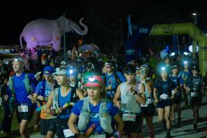 BIB: 
                            <button type="button" onclick="openModal(25583404)" class="btn btn-primary btn-sm float-right btn-popup" data-toggle="modal" data-target=".modal-high-quality">
                        <i class="fas fa-shopping-cart"></i> Add to Cart
                    </button>
                                            <button type="button" onclick="isThisMe(25583404, true)" class="btn btn-success btn-sm float-right btn-popup btn-isme hidden" data-toggle="tooltip" data-placement="bottom" title="นี่คือรูปของคุณใช่ไหม คลิกที่นี่เพื่อเอาเข้าอัลบั้ม">
                        <i class="fas fa-plus"></i> Add to album
                    </button>
                    <button type="button" onclick="isThisMe(25583404, false)" class="btn btn-warning btn-sm float-right btn-popup btn-isnotme hidden">
                        <i class="fas fa-ban"></i> Remove from album
                    </button>