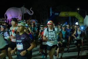 BIB: 
                            <button type="button" onclick="openModal(25583051)" class="btn btn-primary btn-sm float-right btn-popup" data-toggle="modal" data-target=".modal-high-quality">
                        <i class="fas fa-shopping-cart"></i> Add to Cart
                    </button>
                                            <button type="button" onclick="isThisMe(25583051, true)" class="btn btn-success btn-sm float-right btn-popup btn-isme hidden" data-toggle="tooltip" data-placement="bottom" title="นี่คือรูปของคุณใช่ไหม คลิกที่นี่เพื่อเอาเข้าอัลบั้ม">
                        <i class="fas fa-plus"></i> Add to album
                    </button>
                    <button type="button" onclick="isThisMe(25583051, false)" class="btn btn-warning btn-sm float-right btn-popup btn-isnotme hidden">
                        <i class="fas fa-ban"></i> Remove from album
                    </button>