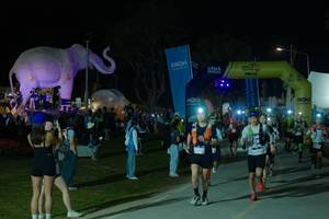 BIB: 
                            <button type="button" onclick="openModal(25585863)" class="btn btn-primary btn-sm float-right btn-popup" data-toggle="modal" data-target=".modal-high-quality">
                        <i class="fas fa-shopping-cart"></i> Add to Cart
                    </button>
                                            <button type="button" onclick="isThisMe(25585863, true)" class="btn btn-success btn-sm float-right btn-popup btn-isme hidden" data-toggle="tooltip" data-placement="bottom" title="นี่คือรูปของคุณใช่ไหม คลิกที่นี่เพื่อเอาเข้าอัลบั้ม">
                        <i class="fas fa-plus"></i> Add to album
                    </button>
                    <button type="button" onclick="isThisMe(25585863, false)" class="btn btn-warning btn-sm float-right btn-popup btn-isnotme hidden">
                        <i class="fas fa-ban"></i> Remove from album
                    </button>