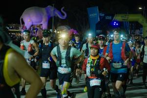 BIB: 
                            <button type="button" onclick="openModal(25584757)" class="btn btn-primary btn-sm float-right btn-popup" data-toggle="modal" data-target=".modal-high-quality">
                        <i class="fas fa-shopping-cart"></i> Add to Cart
                    </button>
                                            <button type="button" onclick="isThisMe(25584757, true)" class="btn btn-success btn-sm float-right btn-popup btn-isme hidden" data-toggle="tooltip" data-placement="bottom" title="นี่คือรูปของคุณใช่ไหม คลิกที่นี่เพื่อเอาเข้าอัลบั้ม">
                        <i class="fas fa-plus"></i> Add to album
                    </button>
                    <button type="button" onclick="isThisMe(25584757, false)" class="btn btn-warning btn-sm float-right btn-popup btn-isnotme hidden">
                        <i class="fas fa-ban"></i> Remove from album
                    </button>