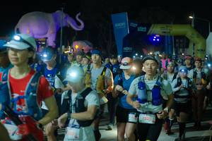 BIB: 
                            <button type="button" onclick="openModal(25587717)" class="btn btn-primary btn-sm float-right btn-popup" data-toggle="modal" data-target=".modal-high-quality">
                        <i class="fas fa-shopping-cart"></i> Add to Cart
                    </button>
                                            <button type="button" onclick="isThisMe(25587717, true)" class="btn btn-success btn-sm float-right btn-popup btn-isme hidden" data-toggle="tooltip" data-placement="bottom" title="นี่คือรูปของคุณใช่ไหม คลิกที่นี่เพื่อเอาเข้าอัลบั้ม">
                        <i class="fas fa-plus"></i> Add to album
                    </button>
                    <button type="button" onclick="isThisMe(25587717, false)" class="btn btn-warning btn-sm float-right btn-popup btn-isnotme hidden">
                        <i class="fas fa-ban"></i> Remove from album
                    </button>