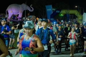 BIB: 
                            <button type="button" onclick="openModal(25585135)" class="btn btn-primary btn-sm float-right btn-popup" data-toggle="modal" data-target=".modal-high-quality">
                        <i class="fas fa-shopping-cart"></i> Add to Cart
                    </button>
                                            <button type="button" onclick="isThisMe(25585135, true)" class="btn btn-success btn-sm float-right btn-popup btn-isme hidden" data-toggle="tooltip" data-placement="bottom" title="นี่คือรูปของคุณใช่ไหม คลิกที่นี่เพื่อเอาเข้าอัลบั้ม">
                        <i class="fas fa-plus"></i> Add to album
                    </button>
                    <button type="button" onclick="isThisMe(25585135, false)" class="btn btn-warning btn-sm float-right btn-popup btn-isnotme hidden">
                        <i class="fas fa-ban"></i> Remove from album
                    </button>