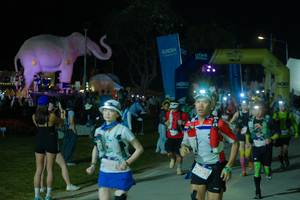 BIB: 
                            <button type="button" onclick="openModal(25585891)" class="btn btn-primary btn-sm float-right btn-popup" data-toggle="modal" data-target=".modal-high-quality">
                        <i class="fas fa-shopping-cart"></i> Add to Cart
                    </button>
                                            <button type="button" onclick="isThisMe(25585891, true)" class="btn btn-success btn-sm float-right btn-popup btn-isme hidden" data-toggle="tooltip" data-placement="bottom" title="นี่คือรูปของคุณใช่ไหม คลิกที่นี่เพื่อเอาเข้าอัลบั้ม">
                        <i class="fas fa-plus"></i> Add to album
                    </button>
                    <button type="button" onclick="isThisMe(25585891, false)" class="btn btn-warning btn-sm float-right btn-popup btn-isnotme hidden">
                        <i class="fas fa-ban"></i> Remove from album
                    </button>