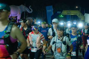 BIB: 
                            <button type="button" onclick="openModal(25586208)" class="btn btn-primary btn-sm float-right btn-popup" data-toggle="modal" data-target=".modal-high-quality">
                        <i class="fas fa-shopping-cart"></i> Add to Cart
                    </button>
                                            <button type="button" onclick="isThisMe(25586208, true)" class="btn btn-success btn-sm float-right btn-popup btn-isme hidden" data-toggle="tooltip" data-placement="bottom" title="นี่คือรูปของคุณใช่ไหม คลิกที่นี่เพื่อเอาเข้าอัลบั้ม">
                        <i class="fas fa-plus"></i> Add to album
                    </button>
                    <button type="button" onclick="isThisMe(25586208, false)" class="btn btn-warning btn-sm float-right btn-popup btn-isnotme hidden">
                        <i class="fas fa-ban"></i> Remove from album
                    </button>