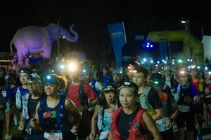 BIB: 
                            <button type="button" onclick="openModal(25584060)" class="btn btn-primary btn-sm float-right btn-popup" data-toggle="modal" data-target=".modal-high-quality">
                        <i class="fas fa-shopping-cart"></i> Add to Cart
                    </button>
                                            <button type="button" onclick="isThisMe(25584060, true)" class="btn btn-success btn-sm float-right btn-popup btn-isme hidden" data-toggle="tooltip" data-placement="bottom" title="นี่คือรูปของคุณใช่ไหม คลิกที่นี่เพื่อเอาเข้าอัลบั้ม">
                        <i class="fas fa-plus"></i> Add to album
                    </button>
                    <button type="button" onclick="isThisMe(25584060, false)" class="btn btn-warning btn-sm float-right btn-popup btn-isnotme hidden">
                        <i class="fas fa-ban"></i> Remove from album
                    </button>