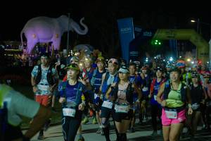 BIB: 
                            <button type="button" onclick="openModal(25584859)" class="btn btn-primary btn-sm float-right btn-popup" data-toggle="modal" data-target=".modal-high-quality">
                        <i class="fas fa-shopping-cart"></i> Add to Cart
                    </button>
                                            <button type="button" onclick="isThisMe(25584859, true)" class="btn btn-success btn-sm float-right btn-popup btn-isme hidden" data-toggle="tooltip" data-placement="bottom" title="นี่คือรูปของคุณใช่ไหม คลิกที่นี่เพื่อเอาเข้าอัลบั้ม">
                        <i class="fas fa-plus"></i> Add to album
                    </button>
                    <button type="button" onclick="isThisMe(25584859, false)" class="btn btn-warning btn-sm float-right btn-popup btn-isnotme hidden">
                        <i class="fas fa-ban"></i> Remove from album
                    </button>