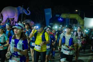 BIB: 
                            <button type="button" onclick="openModal(25586725)" class="btn btn-primary btn-sm float-right btn-popup" data-toggle="modal" data-target=".modal-high-quality">
                        <i class="fas fa-shopping-cart"></i> Add to Cart
                    </button>
                                            <button type="button" onclick="isThisMe(25586725, true)" class="btn btn-success btn-sm float-right btn-popup btn-isme hidden" data-toggle="tooltip" data-placement="bottom" title="นี่คือรูปของคุณใช่ไหม คลิกที่นี่เพื่อเอาเข้าอัลบั้ม">
                        <i class="fas fa-plus"></i> Add to album
                    </button>
                    <button type="button" onclick="isThisMe(25586725, false)" class="btn btn-warning btn-sm float-right btn-popup btn-isnotme hidden">
                        <i class="fas fa-ban"></i> Remove from album
                    </button>