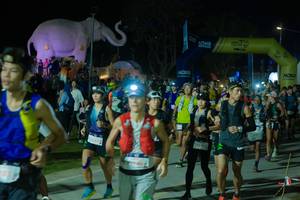 BIB: 
                            <button type="button" onclick="openModal(25583089)" class="btn btn-primary btn-sm float-right btn-popup" data-toggle="modal" data-target=".modal-high-quality">
                        <i class="fas fa-shopping-cart"></i> Add to Cart
                    </button>
                                            <button type="button" onclick="isThisMe(25583089, true)" class="btn btn-success btn-sm float-right btn-popup btn-isme hidden" data-toggle="tooltip" data-placement="bottom" title="นี่คือรูปของคุณใช่ไหม คลิกที่นี่เพื่อเอาเข้าอัลบั้ม">
                        <i class="fas fa-plus"></i> Add to album
                    </button>
                    <button type="button" onclick="isThisMe(25583089, false)" class="btn btn-warning btn-sm float-right btn-popup btn-isnotme hidden">
                        <i class="fas fa-ban"></i> Remove from album
                    </button>