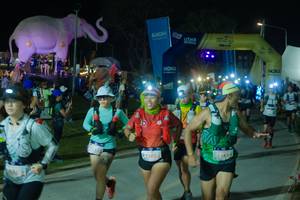 BIB: 
                            <button type="button" onclick="openModal(25587192)" class="btn btn-primary btn-sm float-right btn-popup" data-toggle="modal" data-target=".modal-high-quality">
                        <i class="fas fa-shopping-cart"></i> Add to Cart
                    </button>
                                            <button type="button" onclick="isThisMe(25587192, true)" class="btn btn-success btn-sm float-right btn-popup btn-isme hidden" data-toggle="tooltip" data-placement="bottom" title="นี่คือรูปของคุณใช่ไหม คลิกที่นี่เพื่อเอาเข้าอัลบั้ม">
                        <i class="fas fa-plus"></i> Add to album
                    </button>
                    <button type="button" onclick="isThisMe(25587192, false)" class="btn btn-warning btn-sm float-right btn-popup btn-isnotme hidden">
                        <i class="fas fa-ban"></i> Remove from album
                    </button>