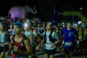 BIB: 
                            <button type="button" onclick="openModal(25583217)" class="btn btn-primary btn-sm float-right btn-popup" data-toggle="modal" data-target=".modal-high-quality">
                        <i class="fas fa-shopping-cart"></i> Add to Cart
                    </button>
                                            <button type="button" onclick="isThisMe(25583217, true)" class="btn btn-success btn-sm float-right btn-popup btn-isme hidden" data-toggle="tooltip" data-placement="bottom" title="นี่คือรูปของคุณใช่ไหม คลิกที่นี่เพื่อเอาเข้าอัลบั้ม">
                        <i class="fas fa-plus"></i> Add to album
                    </button>
                    <button type="button" onclick="isThisMe(25583217, false)" class="btn btn-warning btn-sm float-right btn-popup btn-isnotme hidden">
                        <i class="fas fa-ban"></i> Remove from album
                    </button>