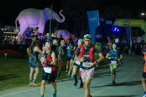 BIB: 
                            <button type="button" onclick="openModal(25585695)" class="btn btn-primary btn-sm float-right btn-popup" data-toggle="modal" data-target=".modal-high-quality">
                        <i class="fas fa-shopping-cart"></i> Add to Cart
                    </button>
                                            <button type="button" onclick="isThisMe(25585695, true)" class="btn btn-success btn-sm float-right btn-popup btn-isme hidden" data-toggle="tooltip" data-placement="bottom" title="นี่คือรูปของคุณใช่ไหม คลิกที่นี่เพื่อเอาเข้าอัลบั้ม">
                        <i class="fas fa-plus"></i> Add to album
                    </button>
                    <button type="button" onclick="isThisMe(25585695, false)" class="btn btn-warning btn-sm float-right btn-popup btn-isnotme hidden">
                        <i class="fas fa-ban"></i> Remove from album
                    </button>