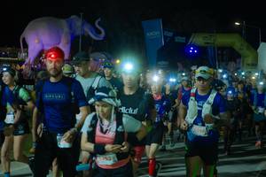 BIB: 
                            <button type="button" onclick="openModal(25584926)" class="btn btn-primary btn-sm float-right btn-popup" data-toggle="modal" data-target=".modal-high-quality">
                        <i class="fas fa-shopping-cart"></i> Add to Cart
                    </button>
                                            <button type="button" onclick="isThisMe(25584926, true)" class="btn btn-success btn-sm float-right btn-popup btn-isme hidden" data-toggle="tooltip" data-placement="bottom" title="นี่คือรูปของคุณใช่ไหม คลิกที่นี่เพื่อเอาเข้าอัลบั้ม">
                        <i class="fas fa-plus"></i> Add to album
                    </button>
                    <button type="button" onclick="isThisMe(25584926, false)" class="btn btn-warning btn-sm float-right btn-popup btn-isnotme hidden">
                        <i class="fas fa-ban"></i> Remove from album
                    </button>