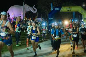 BIB: 
                            <button type="button" onclick="openModal(25582996)" class="btn btn-primary btn-sm float-right btn-popup" data-toggle="modal" data-target=".modal-high-quality">
                        <i class="fas fa-shopping-cart"></i> Add to Cart
                    </button>
                                            <button type="button" onclick="isThisMe(25582996, true)" class="btn btn-success btn-sm float-right btn-popup btn-isme hidden" data-toggle="tooltip" data-placement="bottom" title="นี่คือรูปของคุณใช่ไหม คลิกที่นี่เพื่อเอาเข้าอัลบั้ม">
                        <i class="fas fa-plus"></i> Add to album
                    </button>
                    <button type="button" onclick="isThisMe(25582996, false)" class="btn btn-warning btn-sm float-right btn-popup btn-isnotme hidden">
                        <i class="fas fa-ban"></i> Remove from album
                    </button>