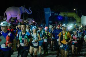 BIB: 
                            <button type="button" onclick="openModal(25584921)" class="btn btn-primary btn-sm float-right btn-popup" data-toggle="modal" data-target=".modal-high-quality">
                        <i class="fas fa-shopping-cart"></i> Add to Cart
                    </button>
                                            <button type="button" onclick="isThisMe(25584921, true)" class="btn btn-success btn-sm float-right btn-popup btn-isme hidden" data-toggle="tooltip" data-placement="bottom" title="นี่คือรูปของคุณใช่ไหม คลิกที่นี่เพื่อเอาเข้าอัลบั้ม">
                        <i class="fas fa-plus"></i> Add to album
                    </button>
                    <button type="button" onclick="isThisMe(25584921, false)" class="btn btn-warning btn-sm float-right btn-popup btn-isnotme hidden">
                        <i class="fas fa-ban"></i> Remove from album
                    </button>