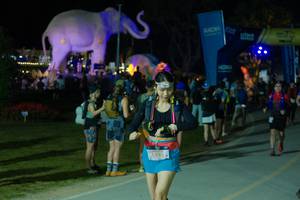 BIB: 
                            <button type="button" onclick="openModal(25585744)" class="btn btn-primary btn-sm float-right btn-popup" data-toggle="modal" data-target=".modal-high-quality">
                        <i class="fas fa-shopping-cart"></i> Add to Cart
                    </button>
                                            <button type="button" onclick="isThisMe(25585744, true)" class="btn btn-success btn-sm float-right btn-popup btn-isme hidden" data-toggle="tooltip" data-placement="bottom" title="นี่คือรูปของคุณใช่ไหม คลิกที่นี่เพื่อเอาเข้าอัลบั้ม">
                        <i class="fas fa-plus"></i> Add to album
                    </button>
                    <button type="button" onclick="isThisMe(25585744, false)" class="btn btn-warning btn-sm float-right btn-popup btn-isnotme hidden">
                        <i class="fas fa-ban"></i> Remove from album
                    </button>