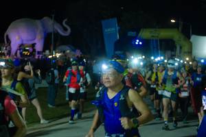 BIB: 
                            <button type="button" onclick="openModal(25586042)" class="btn btn-primary btn-sm float-right btn-popup" data-toggle="modal" data-target=".modal-high-quality">
                        <i class="fas fa-shopping-cart"></i> Add to Cart
                    </button>
                                            <button type="button" onclick="isThisMe(25586042, true)" class="btn btn-success btn-sm float-right btn-popup btn-isme hidden" data-toggle="tooltip" data-placement="bottom" title="นี่คือรูปของคุณใช่ไหม คลิกที่นี่เพื่อเอาเข้าอัลบั้ม">
                        <i class="fas fa-plus"></i> Add to album
                    </button>
                    <button type="button" onclick="isThisMe(25586042, false)" class="btn btn-warning btn-sm float-right btn-popup btn-isnotme hidden">
                        <i class="fas fa-ban"></i> Remove from album
                    </button>