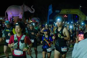 BIB: 
                            <button type="button" onclick="openModal(25583707)" class="btn btn-primary btn-sm float-right btn-popup" data-toggle="modal" data-target=".modal-high-quality">
                        <i class="fas fa-shopping-cart"></i> Add to Cart
                    </button>
                                            <button type="button" onclick="isThisMe(25583707, true)" class="btn btn-success btn-sm float-right btn-popup btn-isme hidden" data-toggle="tooltip" data-placement="bottom" title="นี่คือรูปของคุณใช่ไหม คลิกที่นี่เพื่อเอาเข้าอัลบั้ม">
                        <i class="fas fa-plus"></i> Add to album
                    </button>
                    <button type="button" onclick="isThisMe(25583707, false)" class="btn btn-warning btn-sm float-right btn-popup btn-isnotme hidden">
                        <i class="fas fa-ban"></i> Remove from album
                    </button>