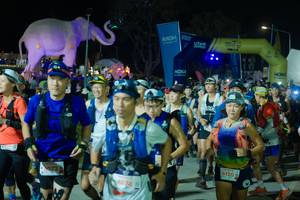 BIB: 
                            <button type="button" onclick="openModal(25585120)" class="btn btn-primary btn-sm float-right btn-popup" data-toggle="modal" data-target=".modal-high-quality">
                        <i class="fas fa-shopping-cart"></i> Add to Cart
                    </button>
                                            <button type="button" onclick="isThisMe(25585120, true)" class="btn btn-success btn-sm float-right btn-popup btn-isme hidden" data-toggle="tooltip" data-placement="bottom" title="นี่คือรูปของคุณใช่ไหม คลิกที่นี่เพื่อเอาเข้าอัลบั้ม">
                        <i class="fas fa-plus"></i> Add to album
                    </button>
                    <button type="button" onclick="isThisMe(25585120, false)" class="btn btn-warning btn-sm float-right btn-popup btn-isnotme hidden">
                        <i class="fas fa-ban"></i> Remove from album
                    </button>