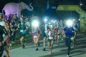 BIB: 
                            <button type="button" onclick="openModal(25582968)" class="btn btn-primary btn-sm float-right btn-popup" data-toggle="modal" data-target=".modal-high-quality">
                        <i class="fas fa-shopping-cart"></i> Add to Cart
                    </button>
                                            <button type="button" onclick="isThisMe(25582968, true)" class="btn btn-success btn-sm float-right btn-popup btn-isme hidden" data-toggle="tooltip" data-placement="bottom" title="นี่คือรูปของคุณใช่ไหม คลิกที่นี่เพื่อเอาเข้าอัลบั้ม">
                        <i class="fas fa-plus"></i> Add to album
                    </button>
                    <button type="button" onclick="isThisMe(25582968, false)" class="btn btn-warning btn-sm float-right btn-popup btn-isnotme hidden">
                        <i class="fas fa-ban"></i> Remove from album
                    </button>