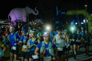 BIB: 
                            <button type="button" onclick="openModal(25583401)" class="btn btn-primary btn-sm float-right btn-popup" data-toggle="modal" data-target=".modal-high-quality">
                        <i class="fas fa-shopping-cart"></i> Add to Cart
                    </button>
                                            <button type="button" onclick="isThisMe(25583401, true)" class="btn btn-success btn-sm float-right btn-popup btn-isme hidden" data-toggle="tooltip" data-placement="bottom" title="นี่คือรูปของคุณใช่ไหม คลิกที่นี่เพื่อเอาเข้าอัลบั้ม">
                        <i class="fas fa-plus"></i> Add to album
                    </button>
                    <button type="button" onclick="isThisMe(25583401, false)" class="btn btn-warning btn-sm float-right btn-popup btn-isnotme hidden">
                        <i class="fas fa-ban"></i> Remove from album
                    </button>