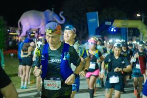 BIB: 
                            <button type="button" onclick="openModal(25586553)" class="btn btn-primary btn-sm float-right btn-popup" data-toggle="modal" data-target=".modal-high-quality">
                        <i class="fas fa-shopping-cart"></i> Add to Cart
                    </button>
                                            <button type="button" onclick="isThisMe(25586553, true)" class="btn btn-success btn-sm float-right btn-popup btn-isme hidden" data-toggle="tooltip" data-placement="bottom" title="นี่คือรูปของคุณใช่ไหม คลิกที่นี่เพื่อเอาเข้าอัลบั้ม">
                        <i class="fas fa-plus"></i> Add to album
                    </button>
                    <button type="button" onclick="isThisMe(25586553, false)" class="btn btn-warning btn-sm float-right btn-popup btn-isnotme hidden">
                        <i class="fas fa-ban"></i> Remove from album
                    </button>