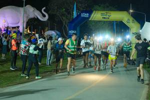 BIB: 
                            <button type="button" onclick="openModal(25582936)" class="btn btn-primary btn-sm float-right btn-popup" data-toggle="modal" data-target=".modal-high-quality">
                        <i class="fas fa-shopping-cart"></i> Add to Cart
                    </button>
                                            <button type="button" onclick="isThisMe(25582936, true)" class="btn btn-success btn-sm float-right btn-popup btn-isme hidden" data-toggle="tooltip" data-placement="bottom" title="นี่คือรูปของคุณใช่ไหม คลิกที่นี่เพื่อเอาเข้าอัลบั้ม">
                        <i class="fas fa-plus"></i> Add to album
                    </button>
                    <button type="button" onclick="isThisMe(25582936, false)" class="btn btn-warning btn-sm float-right btn-popup btn-isnotme hidden">
                        <i class="fas fa-ban"></i> Remove from album
                    </button>